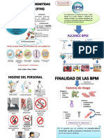 Folleto BPM