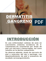 Dermatitis Gangrenosa