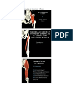Nemotecnia de Músculos de Miembro Inferior