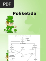 Poloketida