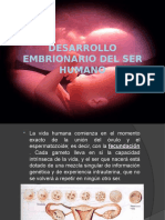 Desarrollo Embrionario Del Ser Humano