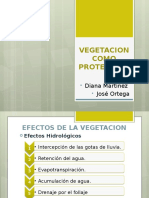 Vegetacion Como Proteccion