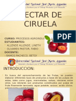 Nectar de Ciruelo