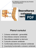 Curs 3. Dezvoltarea Coloanei Vertebrale