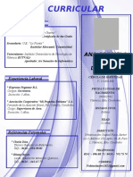 Curriculo Ana Graciela Ramirez Dangelo