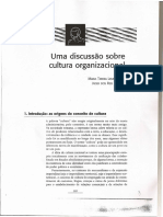 Fleury Sampaio Uma Discussão Sobre A Cultura Organizacional