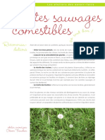 Atelier Plantes Sauvages