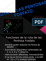 La Ruta de Las Pentosa-Fosfato