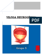 Vejiga Neurogenica Resumen