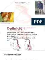  Torsion Testicular