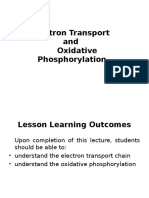 Electron Transport and Oxidative Phosphorylation