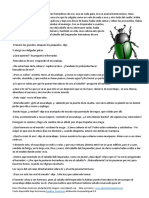 Escarabajo PDF