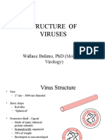 Virus Structure and Replication