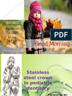 Stainless Steel Crown