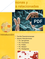 Pseudomonas y Bacterias Relacionadas