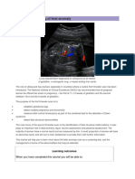 Ultrasound Scanning of Fetal Anomaly