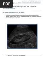 T 4 Anatomia Ecografica PDF