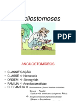 Ancilostomideos