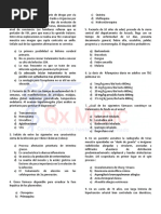 Simulacro 3B Respuestas PDF