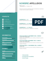 Plantilla Curriculum Vitae 10