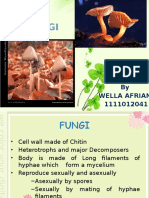 Fungi: by Wella Afriani 1111012041