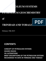T&T Petroleum Systems