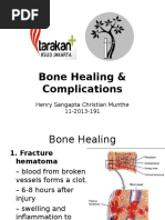 Bone Healing