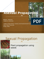 Asexual Propagation