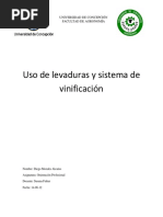 Vinificación PDF