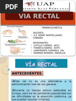 Viarectal 110921210001 Phpapp02