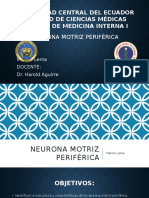 Neurona Motriz Periférica