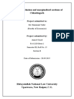 Financial Inclusion and Marginalised Sections of Chhattisgarh