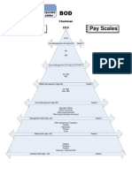 Career Path Progression & Development