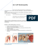 PBL 1 - Rotator Cuff