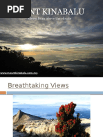 Mount Kinabalu: Views From Above The Clouds