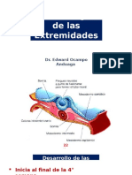 Embriologia de Las Extremidades