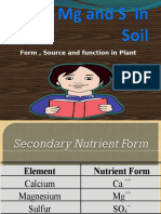 Form, Source and Function in Plant