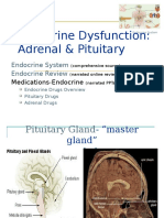 Endocrine Dysfunction: Adrenal & Pituitary: Endocrine System Endocrine Review