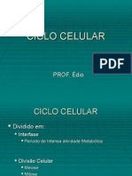 Biologia PPT - Ciclo Celular Mitose e Meiose