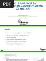 Oracle Primavera - AMEREN