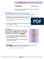 RNAProteinSynthesisSE KEY