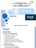 Audit Cas Pratique