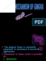 Defence Mechanism of Gingiva Perio