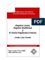 Algebra Lineal y Multilineal