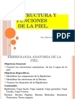 Estructura y Funciones de La Piel