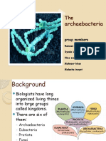 Archaebacteria: Group Members