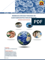 Remediación Bacteriana - Unica