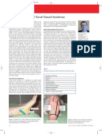 The Tibial Nerve and Tarsal Tunnel Syndrome: Section Anatomy Primer