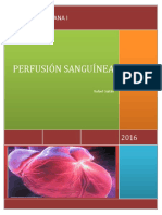 Perfusion Sanguinea Final PDF