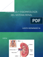 Fisiología y Fisiopatología Del Sistema Renal PDF